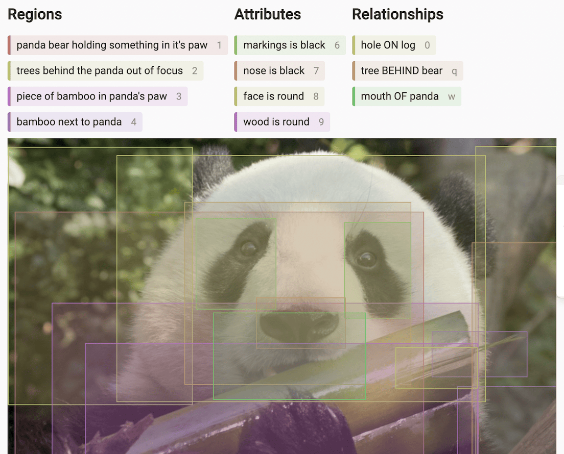 Visual Genome example